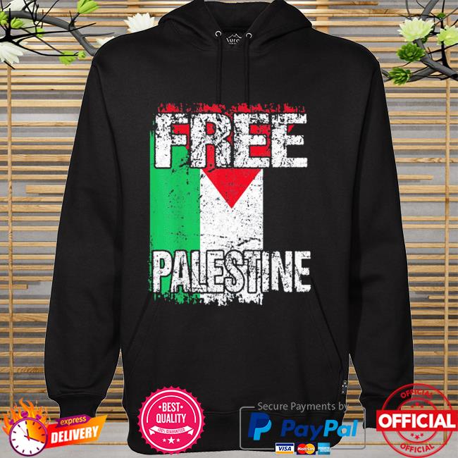 Free palestine flag vintage big palestine flag hoodie