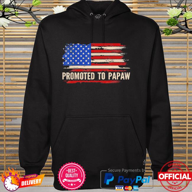 Promoted to papaw American flag father's day 2021 hoodie